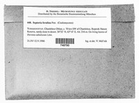 Image Associated With the Occurrence